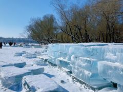 -长春市南湖公园