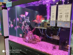 -龟与熊猫宠物公园(南坪店)