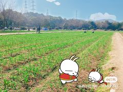-八卦田遗址公园