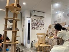 -楼上猫咖(罗湖店)