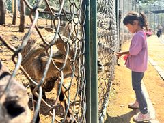 -大连森林动物园