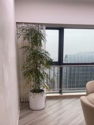 点击看大图 -HEYAN荷妍专业脱毛连锁机构