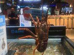 -盒马鲜生(曜一城店)