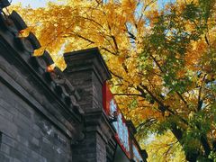 -嵩祝寺及智珠寺