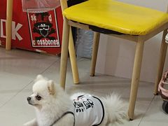 -汪说·狗咖(旺城大厦店)