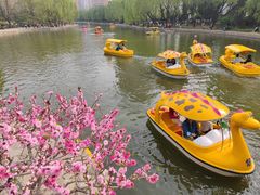 -团结湖公园
