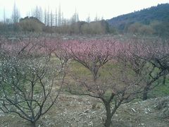 android_upload_pic-灵岩山风景区