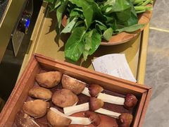 -二刀潮牛(重庆光环购物公园店)