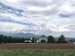 -富田农场