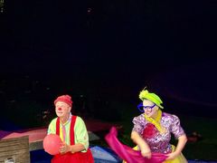 -灵玲国际马戏城