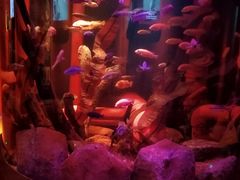 -沈阳海洋探索中心