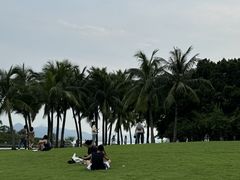 -深圳湾公园(南山区)