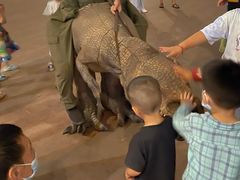 -世界恐龙谷景区