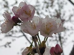 -西北湖绿化广场