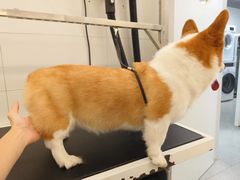 -comecome来吧宠物(奥克斯中心店)