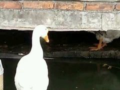 -润记农家菜