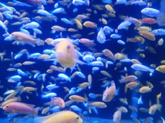 -成都浩海立方海洋公园