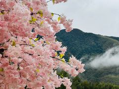-黄山翡翠谷景区