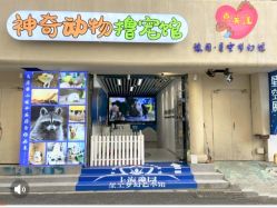 -神奇动物撸宠馆·羊驼·小浣熊·异宠(豫园店)