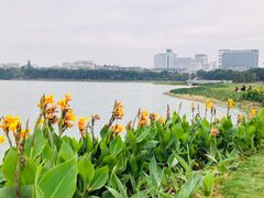 -南宁南湖公园