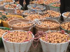 -塘栖枇杷特色园区