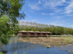 -白渔泡湿地公园