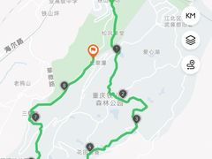 -铁山坪森林公园