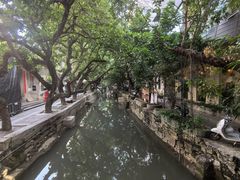 -小洲村