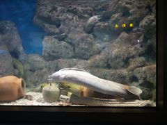 -福州罗源湾海洋世界旅游区