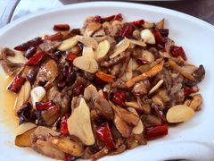 炒见手青-山菌美食苑(振兴路店)