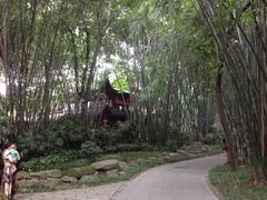 iphone_upload_pic-望江楼公园