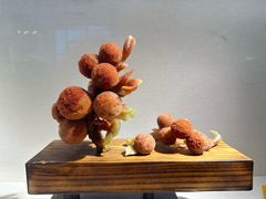 -大连自然博物馆