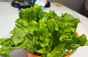 Seasoning Lettuce and Fruit