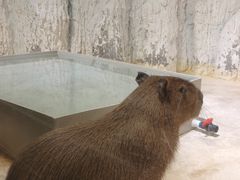 -重庆欢乐海底世界