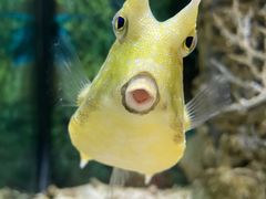 -合肥海洋世界