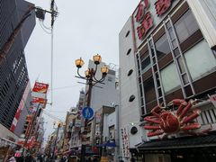 -蟹道乐(道顿堀本店)