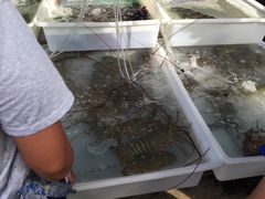 -拉威海鲜市场