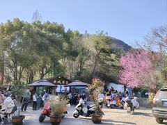 -天台山赤城山景区