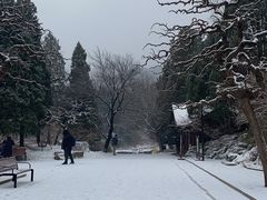 -香山公园