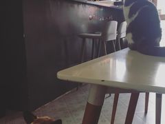 -22cafe