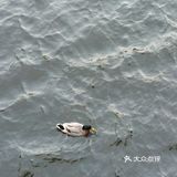 从上午十一点十五开始，一直到下午六点半，从白天走到天黑