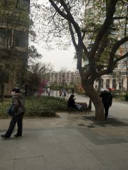 -河南中医药大学第一附属医院-医疗整形