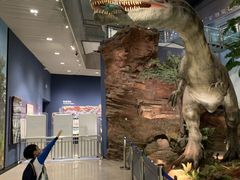 -湖南省地质博物馆