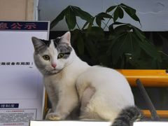 -芳姐重庆名小吃(八宝前街店)