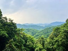 -广州市帽峰山景区