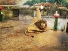 -齐齐哈尔龙沙动植物园