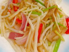 小炒菊花心-姚林轩