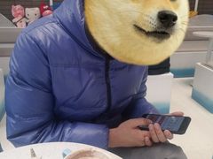 -八喜G’nature冰淇淋旗舰店