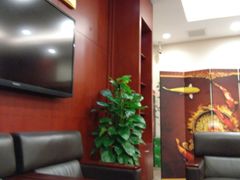 -中国农业银行(上海定西路支行)