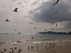 -海云台海滩